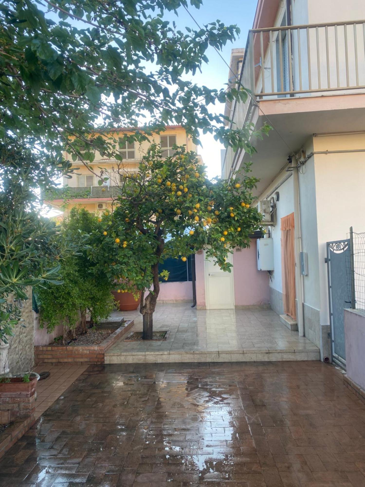 Vila L'Albero Di Limoni Sul Mare Di Pizzo Exteriér fotografie