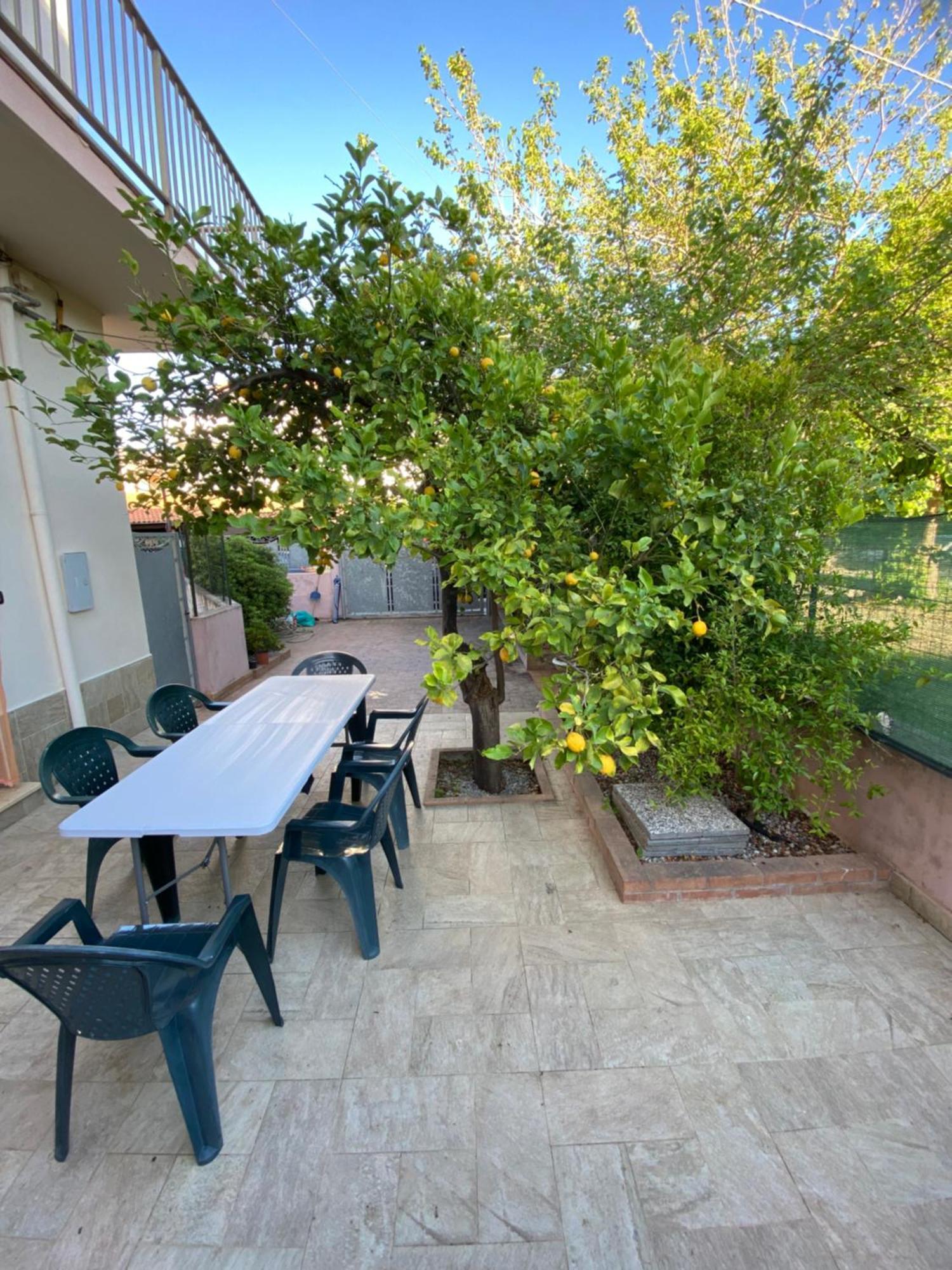Vila L'Albero Di Limoni Sul Mare Di Pizzo Exteriér fotografie