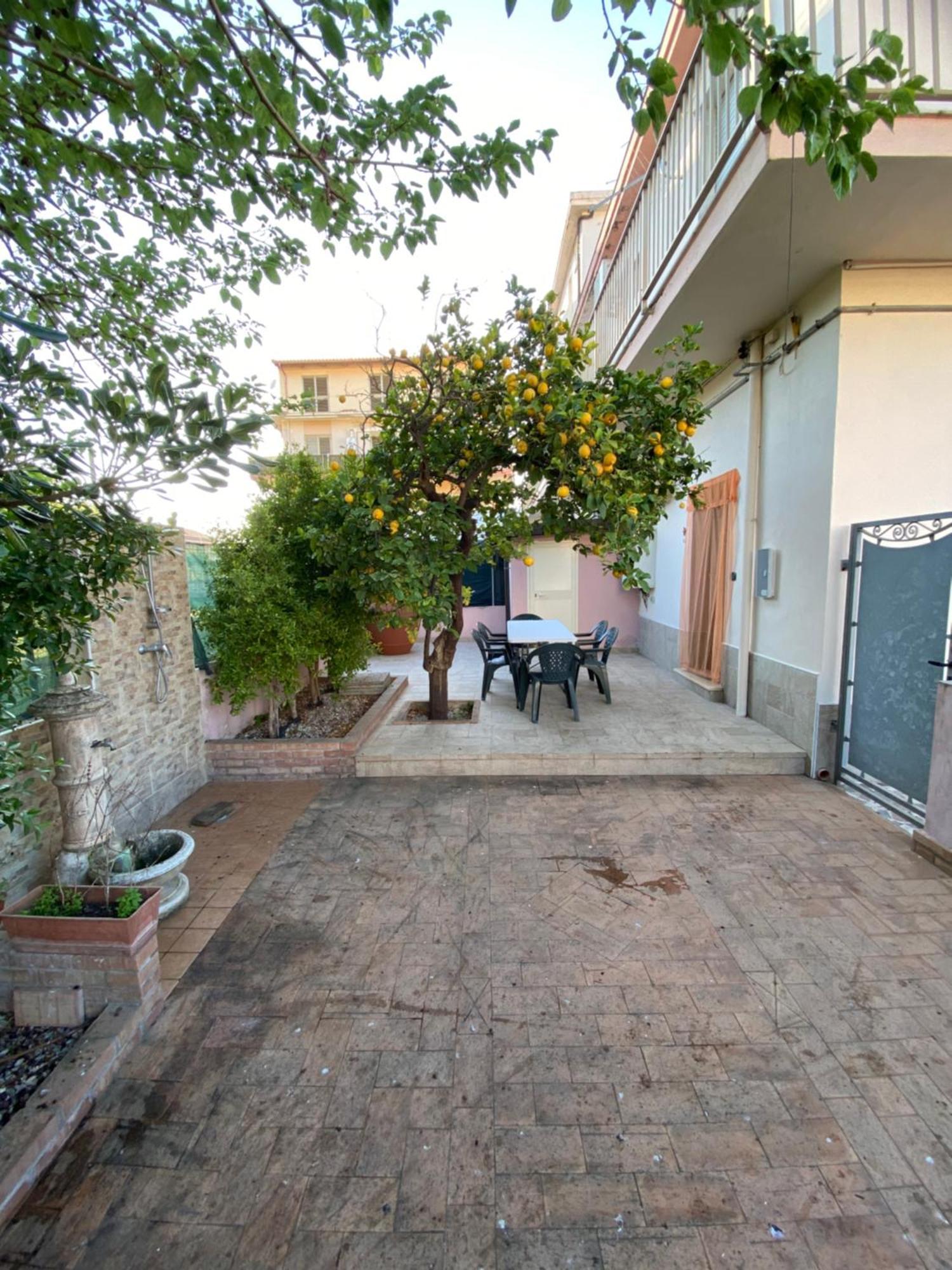 Vila L'Albero Di Limoni Sul Mare Di Pizzo Exteriér fotografie